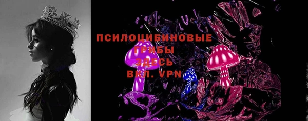 ПСИЛОЦИБИНОВЫЕ ГРИБЫ Зерноград