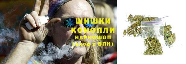 ПСИЛОЦИБИНОВЫЕ ГРИБЫ Зерноград