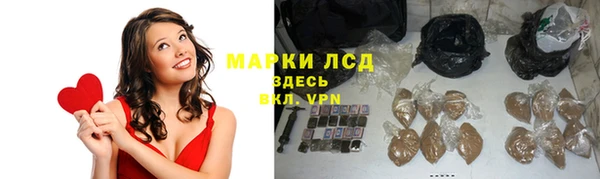 твердый Заводоуковск