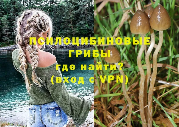 mdma Зеленокумск